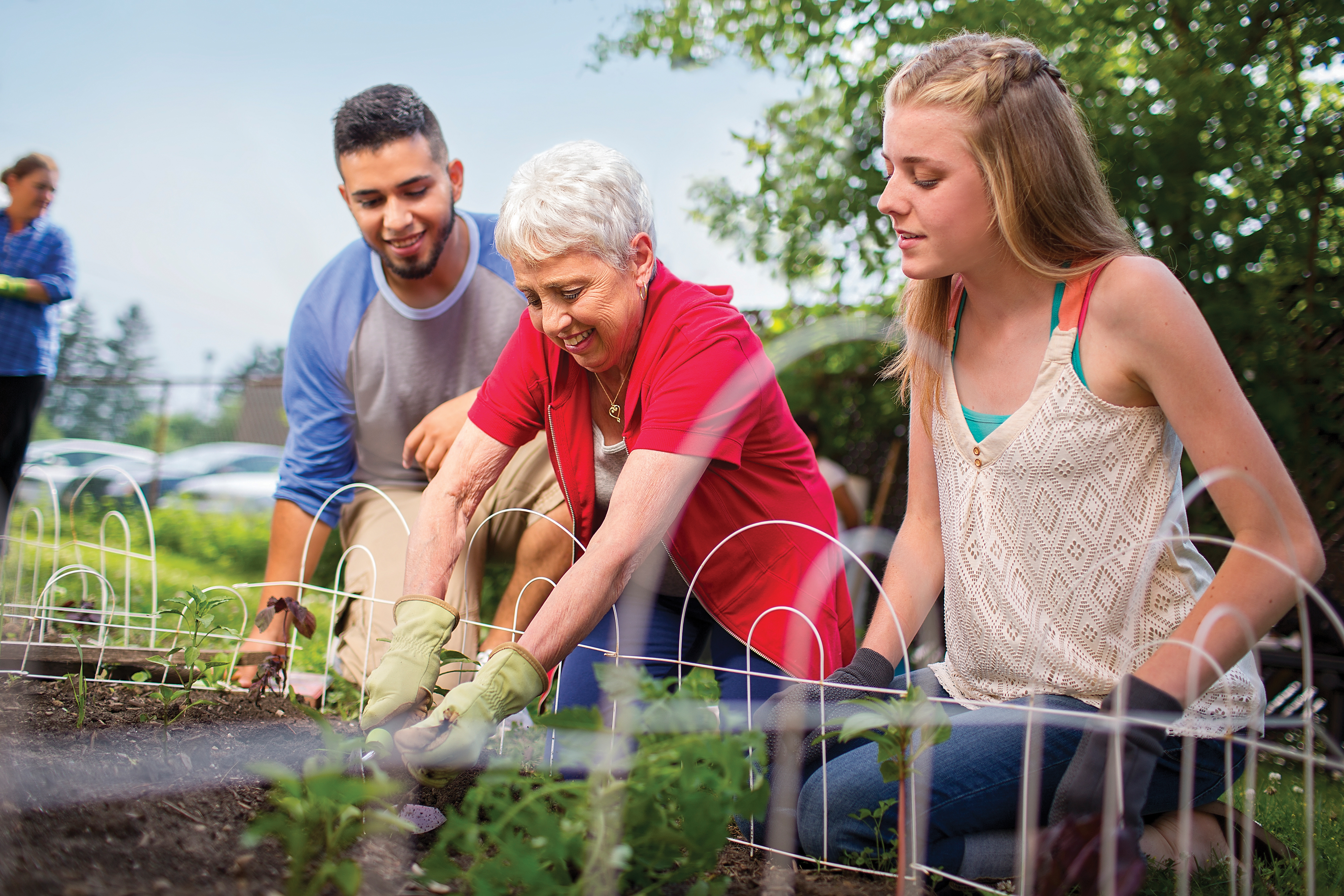 YMCA Family Gardening